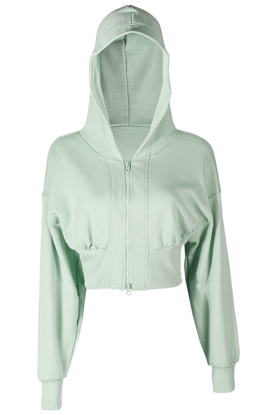 LC264642-P2009-S, LC264642-P2009-M, LC264642-P2009-L, LC264642-P2009-XL, Meadow Mist Green Zip Closure Long Sleeve Hooded Crop Sports Top