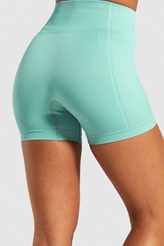 LC265442-P2209-S, LC265442-P2209-M, LC265442-P2209-L, Moonlight Jade Solid Color High Waist Skinny Active Shorts