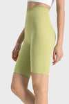 PACK265483-P709-1, Spinach Green High Waist Tummy Control Seamless Active Shorts