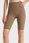 PACK265483-P1016-1, Camel High Waist Tummy Control Seamless Active Shorts
