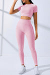 PACK2611628-P10-1, Pink Textured Crop Top and High Waist Leggings Workout Set
