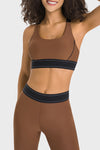 PACK264768-P2017-1, Chestnut Contrast Banded Y Back Gym Bra