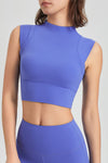 PACK264778-P408-1, Lilac Mock Neck Cropped Sports Tank Top