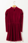 Velvet Frilled Neck Gigot Sleeve Swing Dress