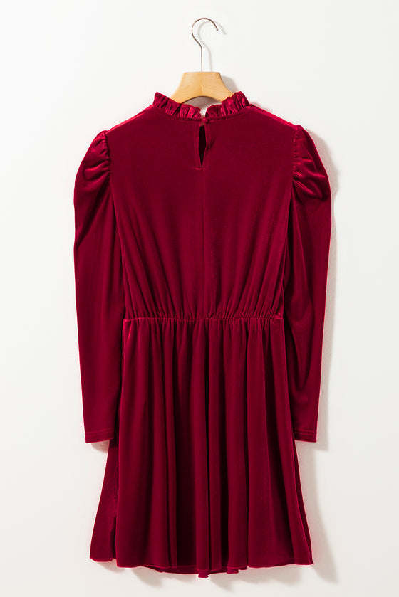 Velvet Frilled Neck Gigot Sleeve Swing Dress