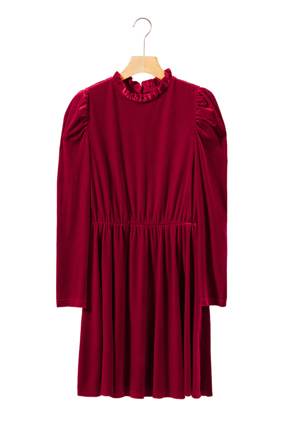 Velvet Frilled Neck Gigot Sleeve Swing Dress