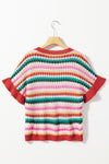 Trimmed Ruffle Sleeve Colorful Textured Sweater