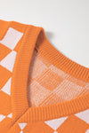 Checkered V Neck Knitted Sweater Vest