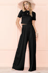 Slim Fit Crop Top and Pleated Wide Leg Pants Set