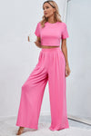 Slim Fit Crop Top and Pleated Wide Leg Pants Set